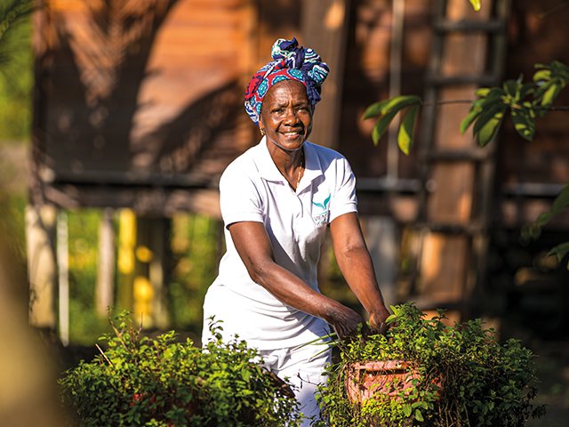 Colombia Women's Harvest